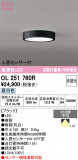 ODELIC �����ǥ�å� LED ����������󥰥饤�� OL251760R�þ��ʾҲ�þ��������̿����䡦����ƥꥢ���������Ρڥ饤�ȥ��������