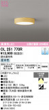 ODELIC �����ǥ�å� LED ����������󥰥饤�� OL251770R�þ��ʾҲ�þ��������̿����䡦����ƥꥢ���������Ρڥ饤�ȥ��������