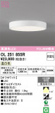 ODELIC �����ǥ�å� LED ����������󥰥饤�� OL251855R�þ��ʾҲ�þ��������̿����䡦����ƥꥢ���������Ρڥ饤�ȥ��������