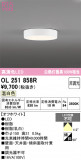 ODELIC �����ǥ�å� LED ����������󥰥饤�� OL251858R�þ��ʾҲ�þ��������̿����䡦����ƥꥢ���������Ρڥ饤�ȥ��������