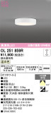 ODELIC �����ǥ�å� LED ����������󥰥饤�� OL251859R�þ��ʾҲ�þ��������̿����䡦����ƥꥢ���������Ρڥ饤�ȥ��������