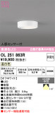 ODELIC �����ǥ�å� LED ����������󥰥饤�� OL251863R�þ��ʾҲ�þ��������̿����䡦����ƥꥢ���������Ρڥ饤�ȥ��������
