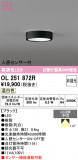 ODELIC �����ǥ�å� LED ����������󥰥饤�� OL251872R�þ��ʾҲ�þ��������̿����䡦����ƥꥢ���������Ρڥ饤�ȥ��������