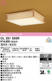 ODELIC �����ǥ�å� LED ������󥰥饤�� OL251555R�þ��ʾҲ�þ��������̿����䡦����ƥꥢ���������Ρڥ饤�ȥ��������