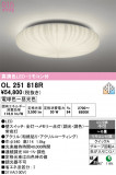 ODELIC �����ǥ�å� LED ������󥰥饤�� OL251818R�þ��ʾҲ�þ��������̿����䡦����ƥꥢ���������Ρڥ饤�ȥ��������