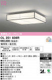 ODELIC �����ǥ�å� LED ������󥰥饤�� OL251836R�þ��ʾҲ�þ��������̿����䡦����ƥꥢ���������Ρڥ饤�ȥ��������