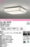 ODELIC �����ǥ�å� LED ������󥰥饤�� OL251837R�þ��ʾҲ�þ��������̿����䡦����ƥꥢ���������Ρڥ饤�ȥ��������