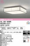 ODELIC �����ǥ�å� LED ������󥰥饤�� OL251838R�þ��ʾҲ�þ��������̿����䡦����ƥꥢ���������Ρڥ饤�ȥ��������