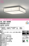 ODELIC �����ǥ�å� LED ������󥰥饤�� OL251839R�þ��ʾҲ�þ��������̿����䡦����ƥꥢ���������Ρڥ饤�ȥ��������