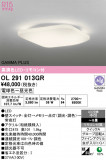ODELIC �����ǥ�å� LED ������󥰥饤�� OL291013GR�þ��ʾҲ�þ��������̿����䡦����ƥꥢ���������Ρڥ饤�ȥ��������