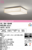 ODELIC �����ǥ�å� LED ������󥰥饤�� OL291024R�þ��ʾҲ�þ��������̿����䡦����ƥꥢ���������Ρڥ饤�ȥ��������