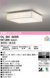 ODELIC �����ǥ�å� LED ������󥰥饤�� OL291025R�þ��ʾҲ�þ��������̿����䡦����ƥꥢ���������Ρڥ饤�ȥ��������
