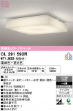 ODELIC �����ǥ�å� LED ������󥰥饤�� OL291593R�þ��ʾҲ�þ��������̿����䡦����ƥꥢ���������Ρڥ饤�ȥ��������