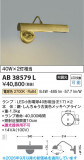 Koizumi �������߾��� LED�֥饱�å� AB38579L�þ��ʾҲ�þ��������̿����䡦����ƥꥢ���������Ρڥ饤�ȥ��������