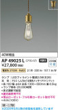 Koizumi �������߾��� LED�ڥ����� AP49025L�þ��ʾҲ�þ��������̿����䡦����ƥꥢ���������Ρڥ饤�ȥ��������
