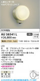 Koizumi �������߾��� LED�ɱ����֥饱�å� AU38541L�þ��ʾҲ�þ��������̿����䡦����ƥꥢ���������Ρڥ饤�ȥ��������