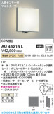 Koizumi �������߾��� LED�ɱ����֥饱�å� AU45213L�þ��ʾҲ�þ��������̿����䡦����ƥꥢ���������Ρڥ饤�ȥ��������