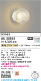 Koizumi �������߾��� LED�ɱ��ɼ����֥饱�å� AU55588�þ��ʾҲ�þ��������̿����䡦����ƥꥢ���������Ρڥ饤�ȥ��������