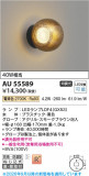 Koizumi �������߾��� LED�ɱ��ɼ����֥饱�å� AU55589�þ��ʾҲ�þ��������̿����䡦����ƥꥢ���������Ρڥ饤�ȥ��������