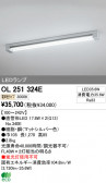 ODELIC ǥå LED١饤 OL251324E