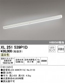 ODELIC ǥå ١饤 XL251539P1D