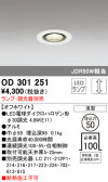ODELIC ǥå 饤 OD301251