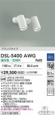 DAIKO ŵ ݥåȥ饤 DSL-5400AWG