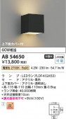 Koizumi ߾ LED֥饱å AB54650