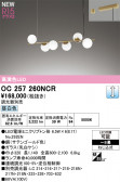 ODELIC ǥå ǥꥢ OC257260NCR
