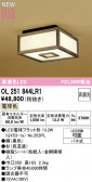 ODELIC ǥå 󥰥饤 OL251844LR1