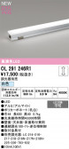 ODELIC ǥå Ѵܾ OL291246R1