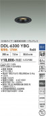DAIKO ����ŵ� ������饤�� DDL-6300YBG