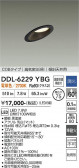 DAIKO ����ŵ� ������饤�� DDL-6229YBG
