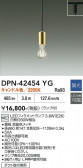 DAIKO ����ŵ� �ڥ����� DPN-42454YG