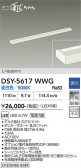 DAIKO ����ŵ� ���ܾ����Ѵ�� DSY-5617WWG