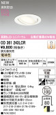 ODELIC �����ǥ�å� LED ������饤�� OD361243LCR