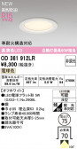 ODELIC �����ǥ�å� LED ������饤�� OD361912LR