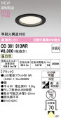 ODELIC �����ǥ�å� LED ������饤�� OD361913WR