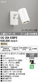 ODELIC �����ǥ�å� LED �������ƥꥢ�饤�� OG254539P2
