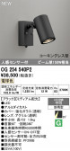 ODELIC �����ǥ�å� LED �������ƥꥢ�饤�� OG254540P2