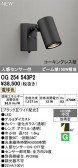 ODELIC �����ǥ�å� LED �������ƥꥢ�饤�� OG254543P2
