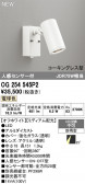 ODELIC �����ǥ�å� LED �������ƥꥢ�饤�� OG254545P2