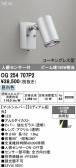 ODELIC �����ǥ�å� LED �������ƥꥢ�饤�� OG254707P2