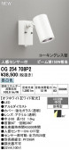 ODELIC �����ǥ�å� LED �������ƥꥢ�饤�� OG254708P2