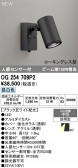 ODELIC �����ǥ�å� LED �������ƥꥢ�饤�� OG254709P2