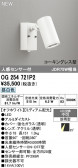 ODELIC �����ǥ�å� LED �������ƥꥢ�饤�� OG254721P2