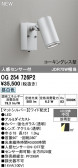 ODELIC �����ǥ�å� LED �������ƥꥢ�饤�� OG254726P2