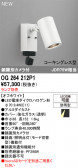 ODELIC �����ǥ�å� LED �������ƥꥢ�饤�� OG264212P1