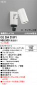 ODELIC �����ǥ�å� LED �������ƥꥢ�饤�� OG264218P1