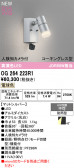 ODELIC �����ǥ�å� LED �������ƥꥢ�饤�� OG264223R1